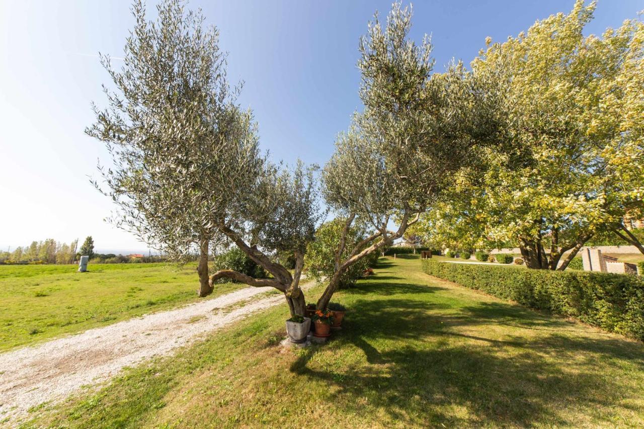 Agriturismo Bella Cima Montefiascone Buitenkant foto