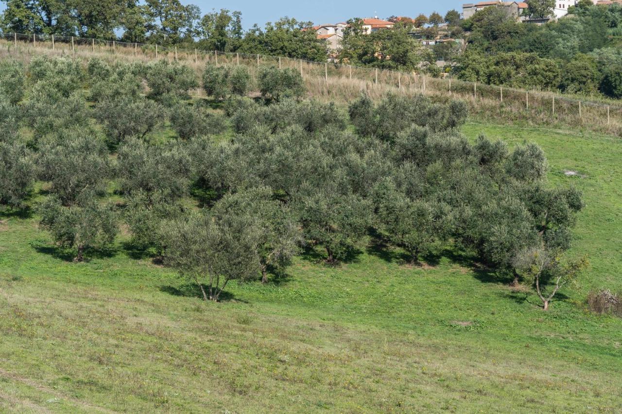 Agriturismo Bella Cima Montefiascone Buitenkant foto