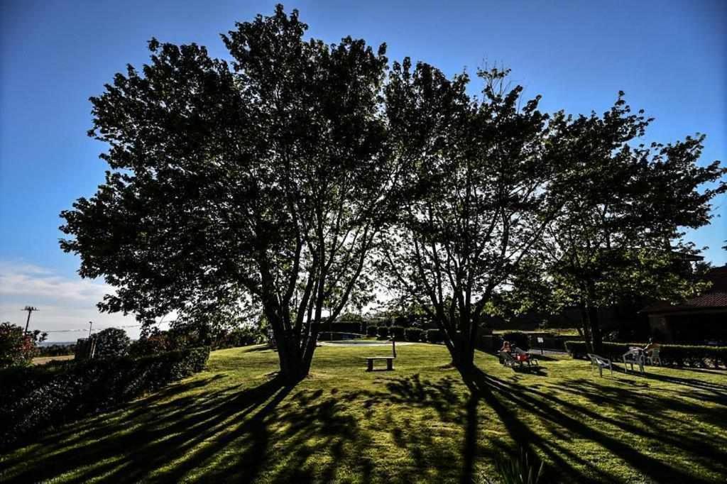 Agriturismo Bella Cima Montefiascone Buitenkant foto